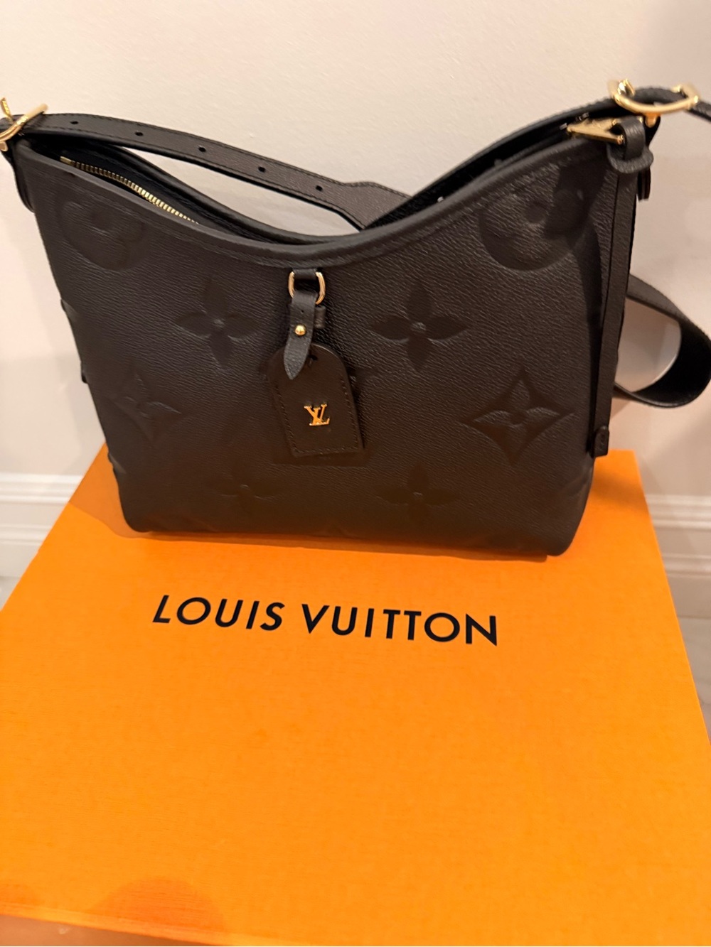 Louis Vuitton CarryAll PM - Picture 14 of 14